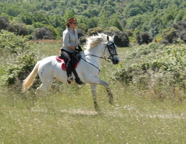 Galopando por los campos de Avila